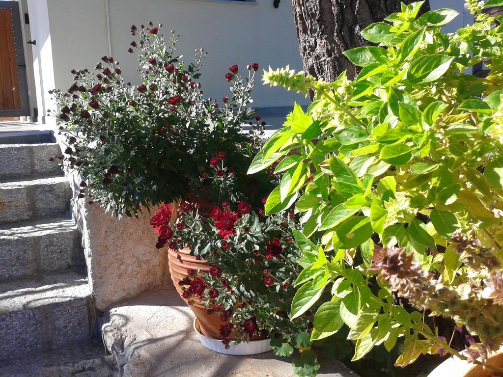 Apartamento Niriides Galaxídhion Habitación foto